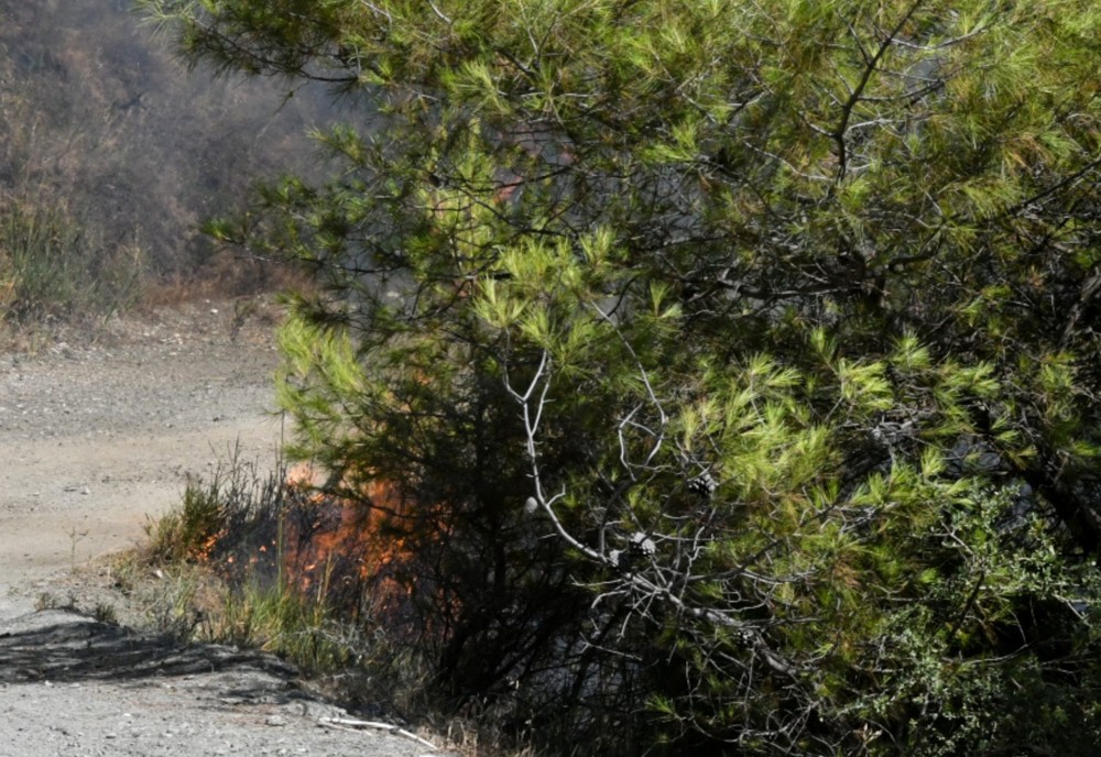 Φωτιά στο Μαρκόπουλο κοντά στο αμαξοστάσιο