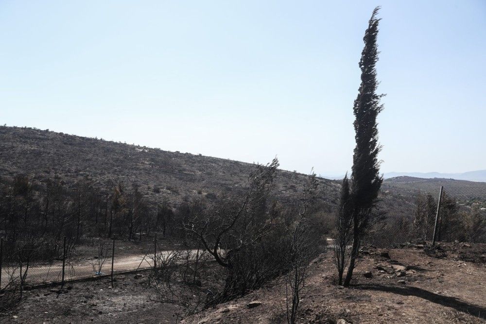 Επείγουσα εισαγγελική έρευνα για τις φωτιές σε Πεντέλη και Μέγαρα