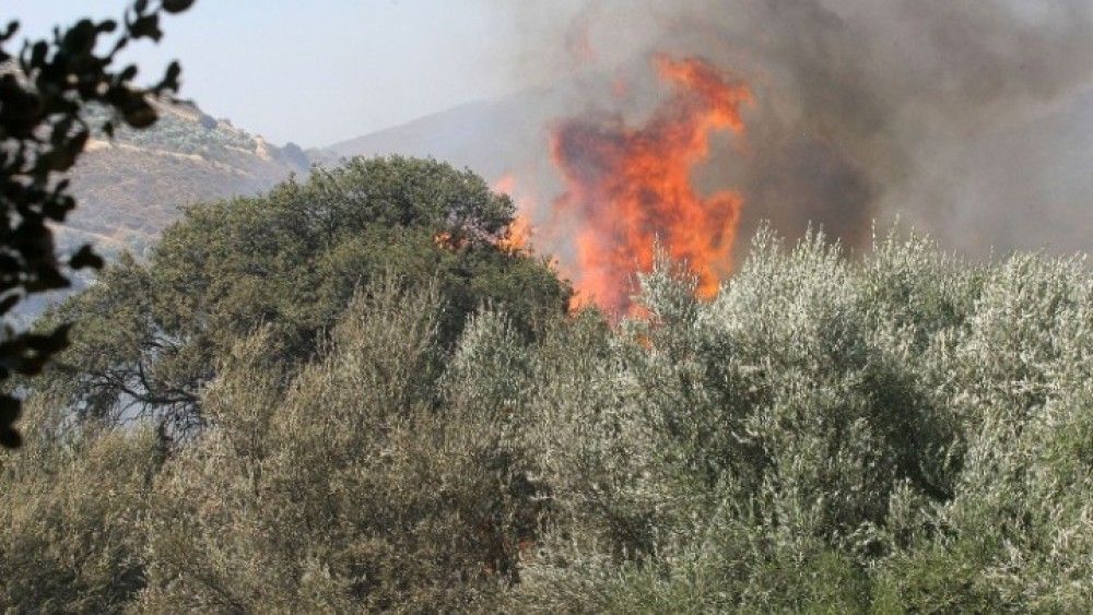 Πυρκαγιά στη Λευκάδα- Επιχειρούν και εναέρια μέσα