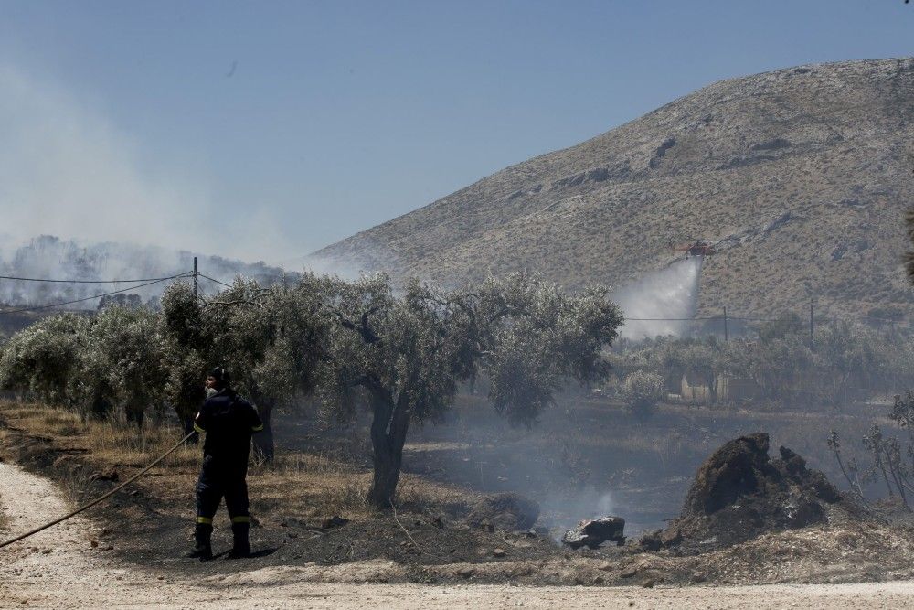 Πυρκαγιά στην Αλεξανδρούπολη