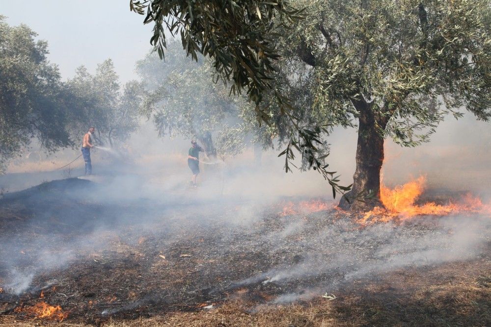 Φωτιές: Καλύτερη η εικόνα σε Ιτέα και Κρανίδι