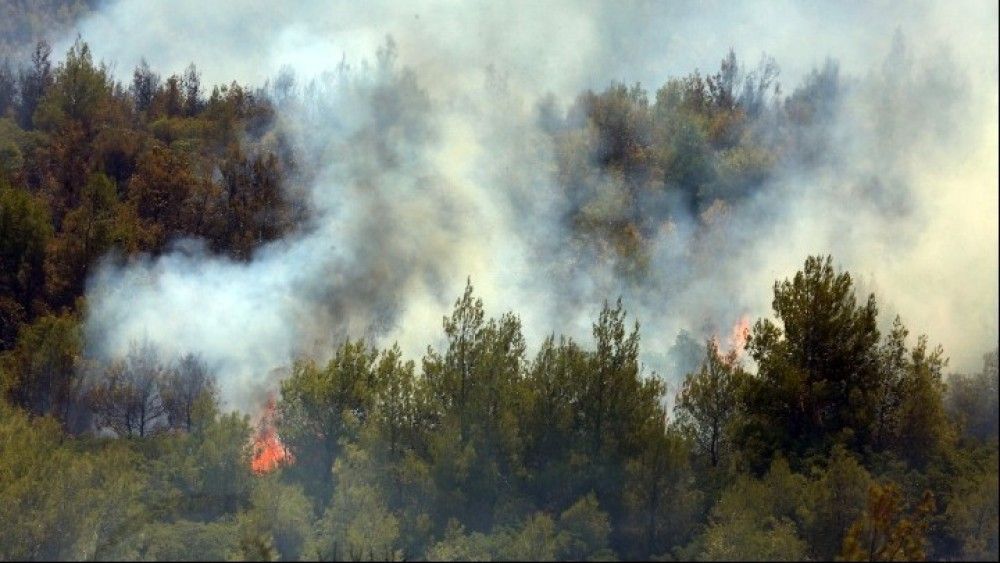 Φωτιά στα Μέγαρα: Μήνυμα του 112 για προληπτική εκκένωση