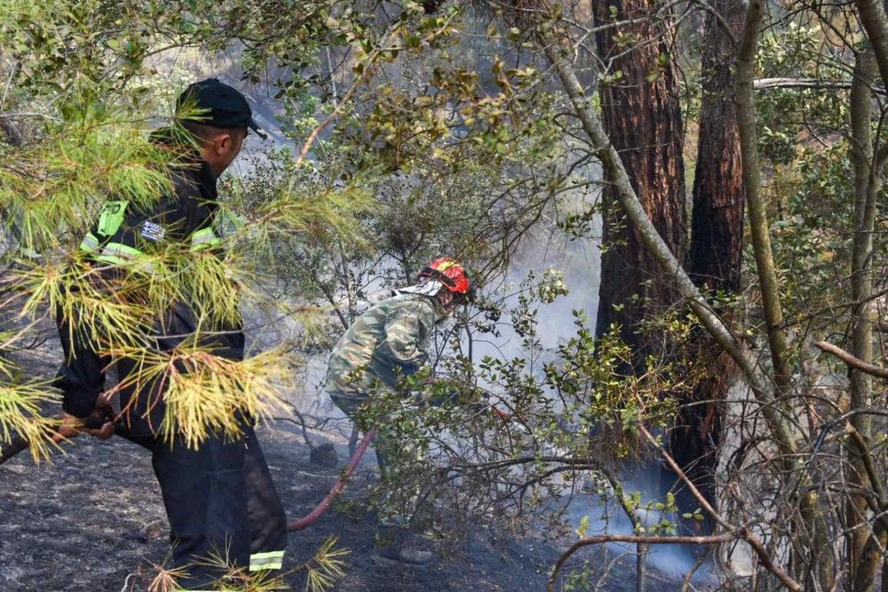 Τρία πύρινα μέτωπα στο Εθνικό Πάρκο Δαδιάς