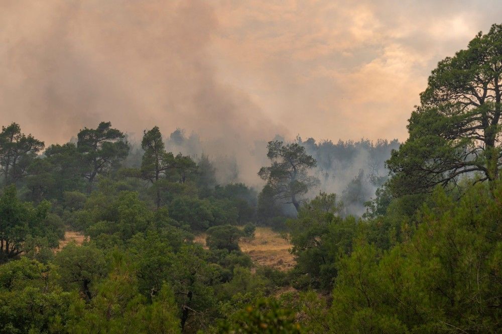 Η επόμενη ημέρα στο Εθνικό Πάρκο Δαδιάς