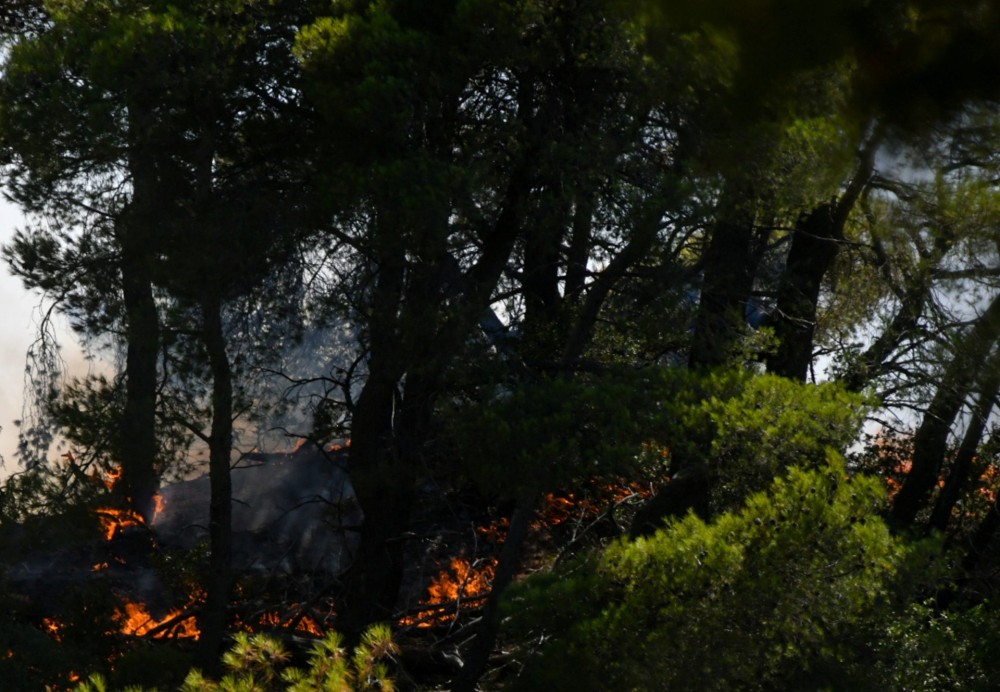 Φωτιά στο Δήμο Φαιστού