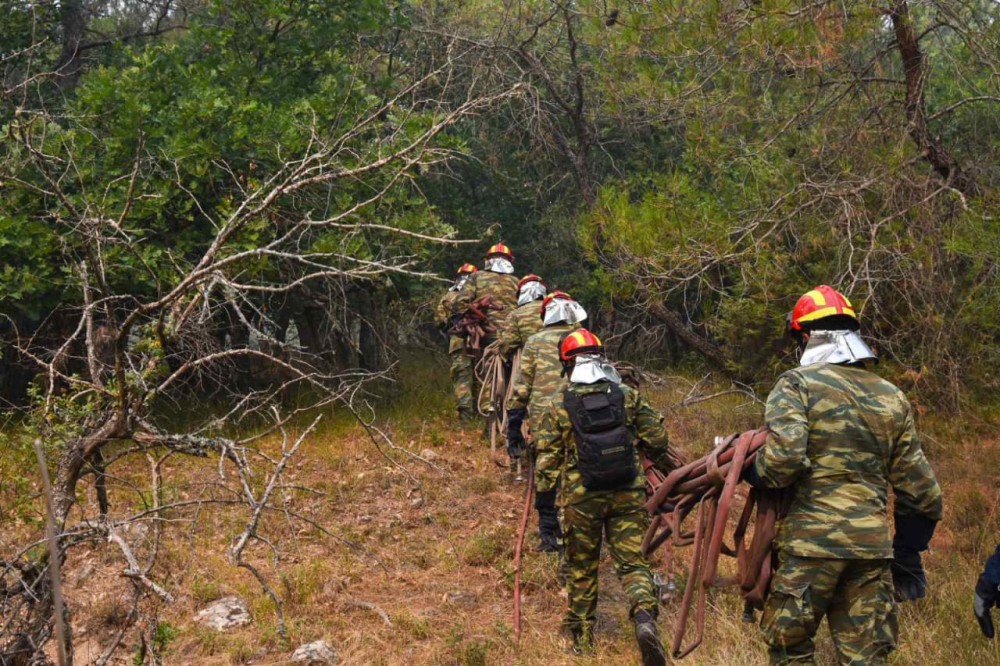 Εκπνέει η προθεσμία καθαρισμού οικοπέδων