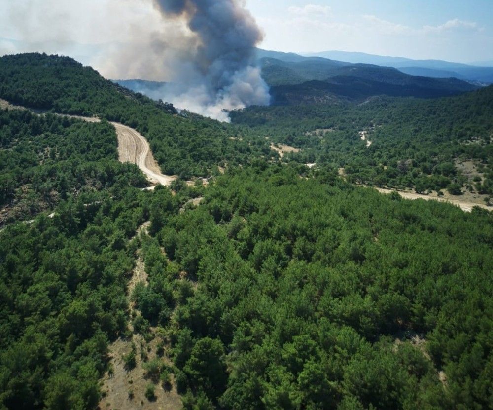 Υψηλή ευφλεκτότητα και ενισχυμένοι άνεμοι αυξάνουν τον κίνδυνο πυρκαγιών τις επόμενες ημέρες