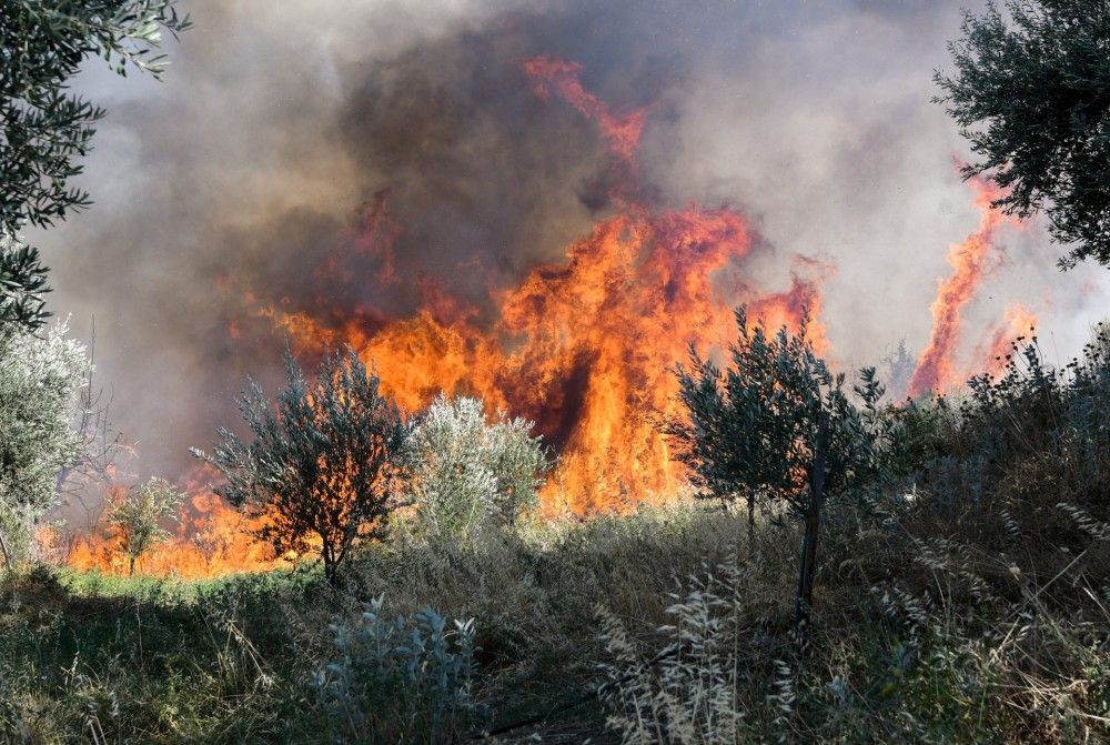 Πυρκαγιές σε Ιτέα και Νίκαια