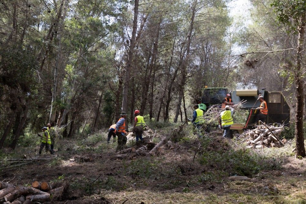 Ηράκλειο: Υπό έλεγχο η φωτιά στα Πραιτώρια Μονοφατσίου