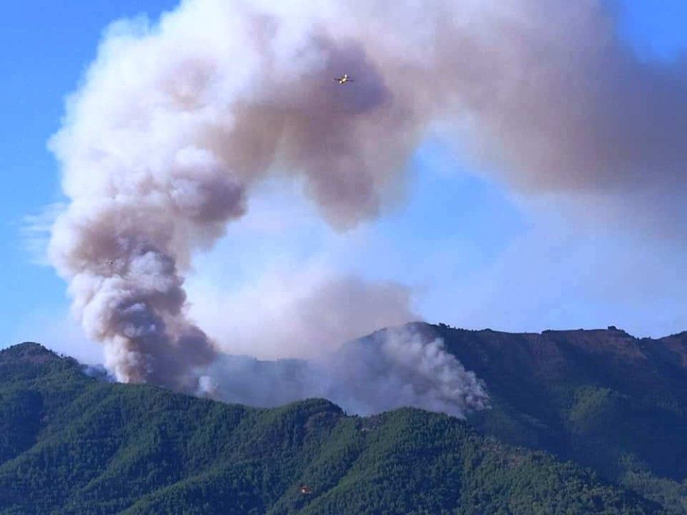 Υπό πλήρη έλεγχο η φωτιά στη Θάσο