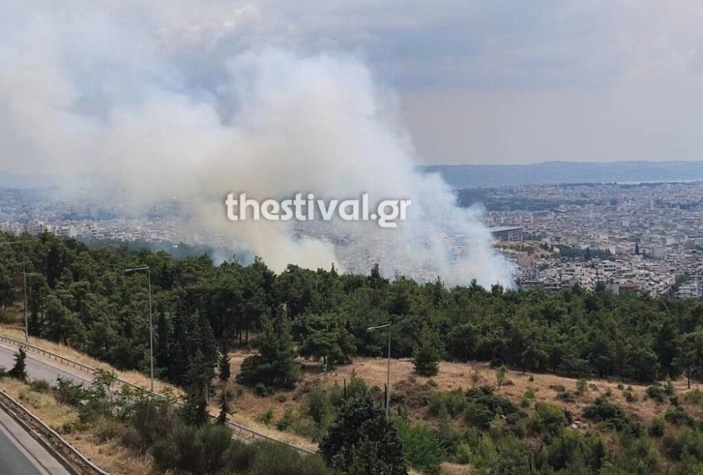 Θεσσαλονίκη: Πυρκαγιά σε εξέλιξη στο δάσος του Σέιχ Σου (video)