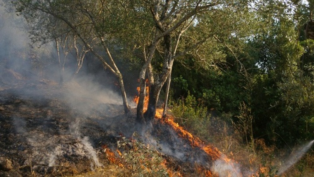 Πυρκαγιά σε χαμηλή βλάστηση στον Ταύρο Αττικής