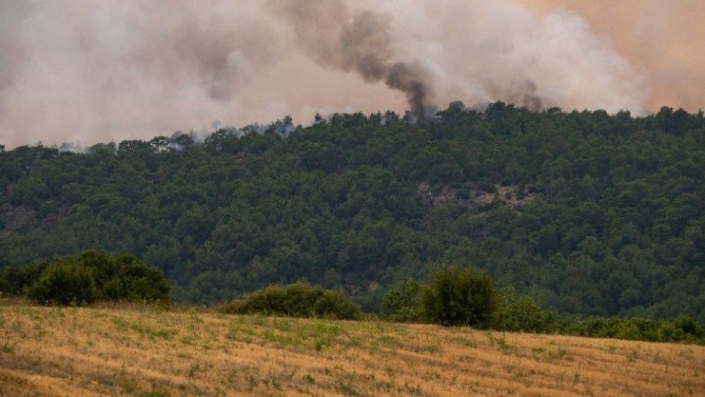 Αίγιο: Οριοθετήθηκε η φωτιά στην Αρραβωνίτσα