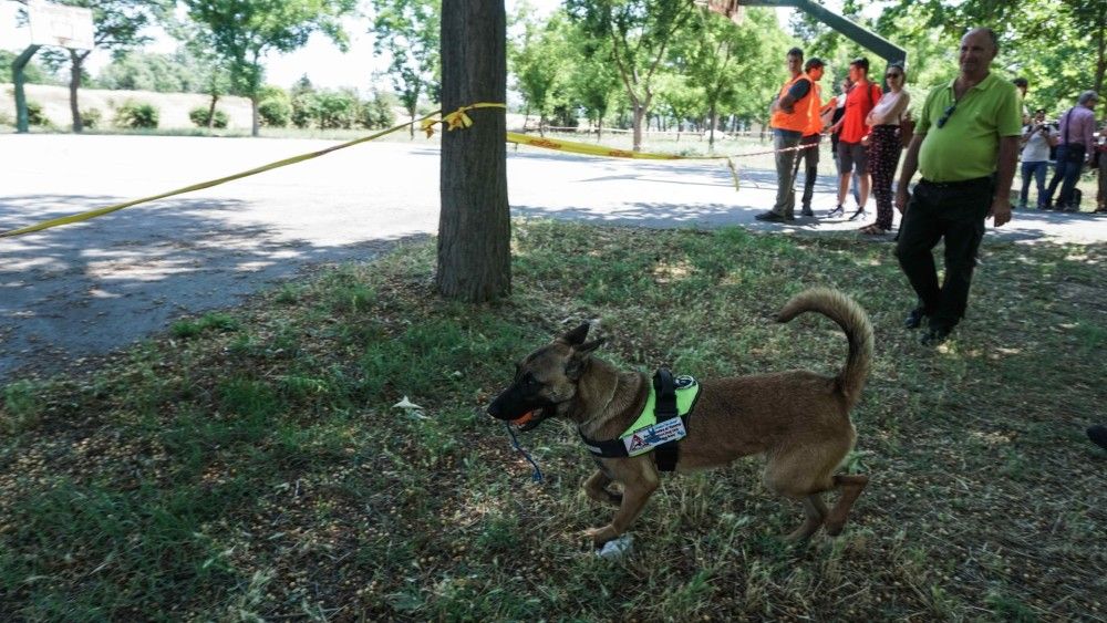 Συνελήφθη ο 67χρονος  που κακοποιούσε το σκύλο του με ηλεκτροσόκ