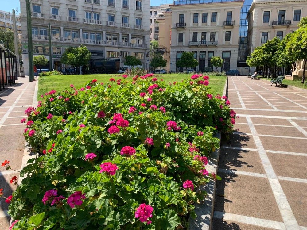 Χιλιάδες πολύχρωμα νέα φυτά στην Αθήνα