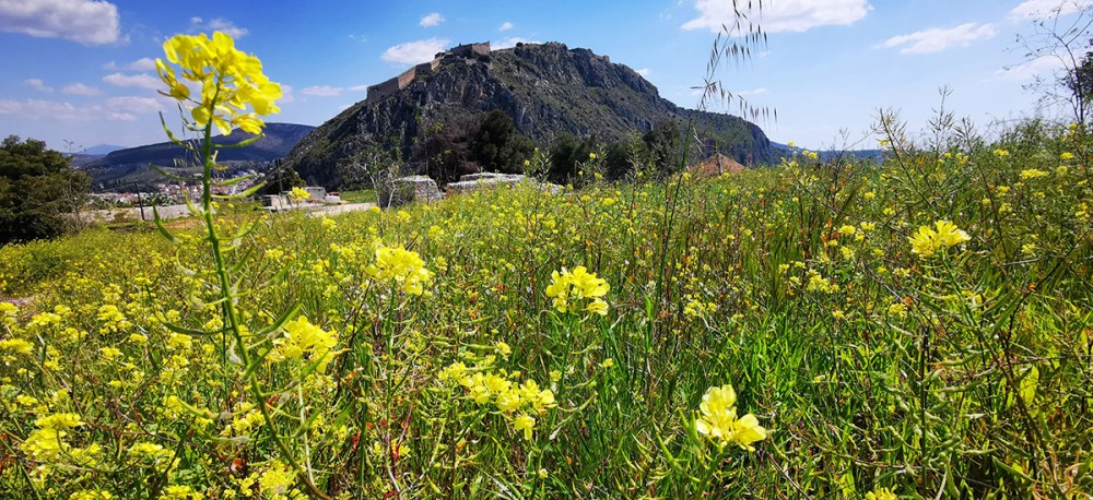 Αίθριος ο καιρός σήμερα με υψηλές θερμοκρασίες