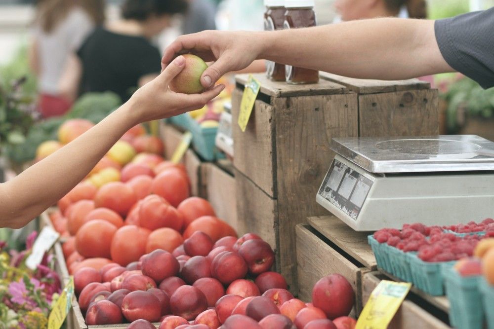 Θεέ μου, τι σου κάναμε: οπαδοί του Βαρουφάκη στελέχη του ΣΥΡΙΖΑ