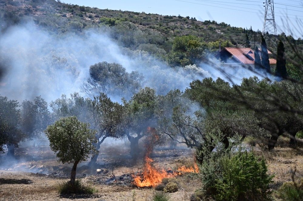 Οι πυροσβέστες του καναπέ