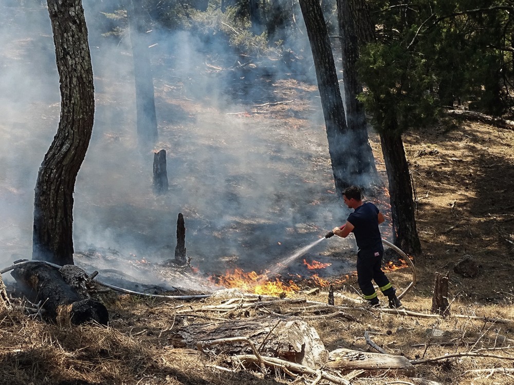 Φωτιές: Αναζωπυρώσεις σε Αττική, Ρόδο, Λακωνία - Δύο αεροσκάφη και ένα ελικόπτερο στέλνει η Τουρκία