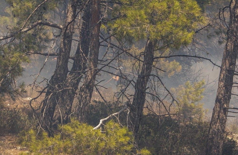 Φωτιές: σε κατάσταση έκτακτης ανάγκης η Ρόδος - Οριοθετήθηκε στα Βίταλα Ευβοίας