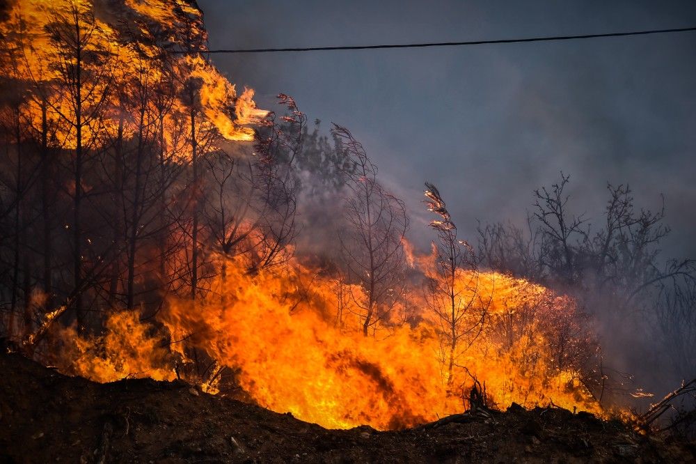 Φωτιές: μάχη στη Μαγνησία - Aναζωπυρώσεις σε Κάρυστο και Ρόδο