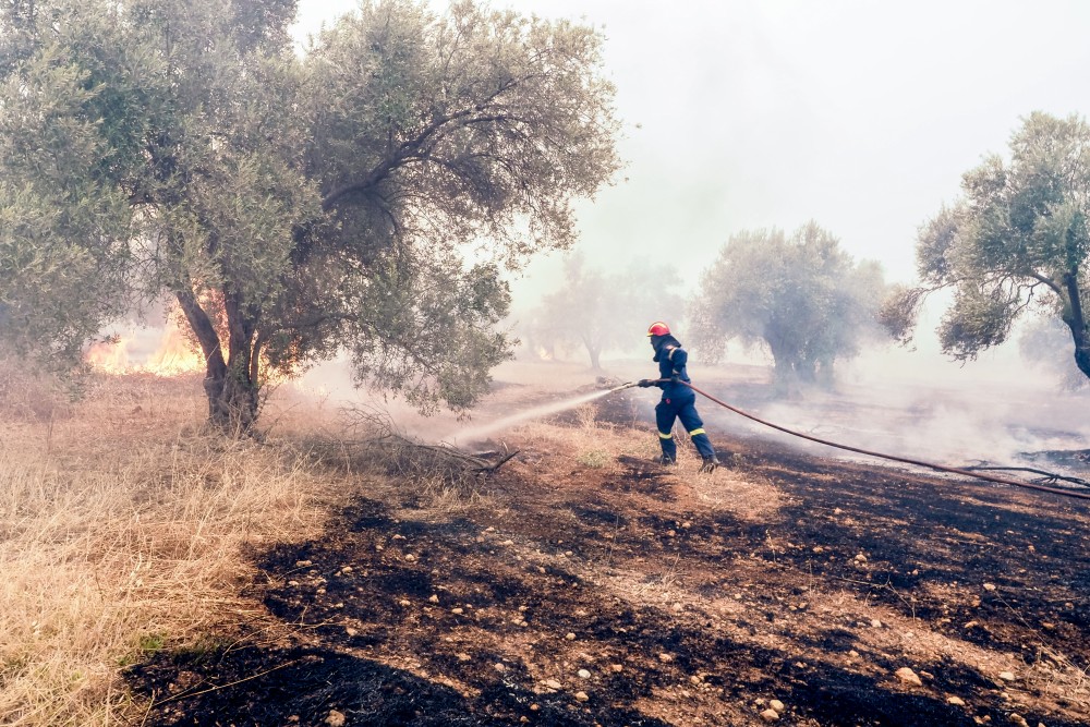 Εύβοια: στάχτη 6.500 στρέμματα από τη φωτιά - Συνεχίζεται η μάχη με τις φλόγες