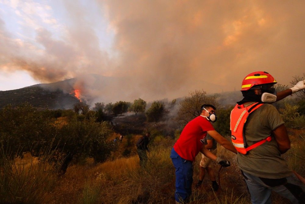 Φωτιές: σκληρή μάχη στη Βοιωτία -Ανησυχία για το μέτωπο του Έβρου