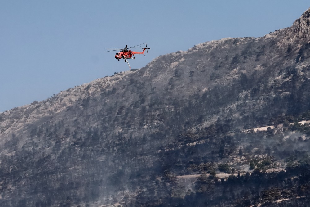 Φωτιές: νέα εστία στον Αυλώνα - Καταγγελίες για απόπειρες εμπρησμού και προσαγωγές