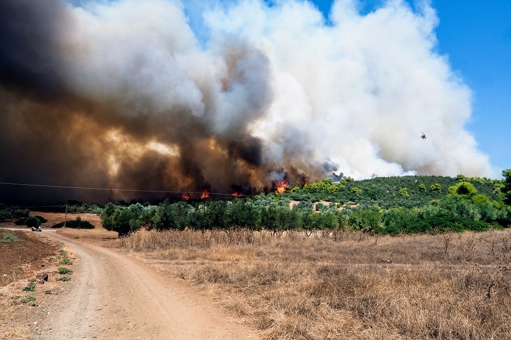 Φωτιά στην Εύβοια: προς Βατώντα το πύρινο μέτωπο - Μέχρι τη Χαλκίδα οι καπνοί