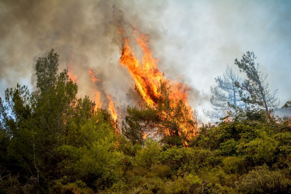 Ποινική δίωξη για εμπρησμό από πρόθεση στον 88χρονο που συνελήφθη στον Άγιο Στέφανο