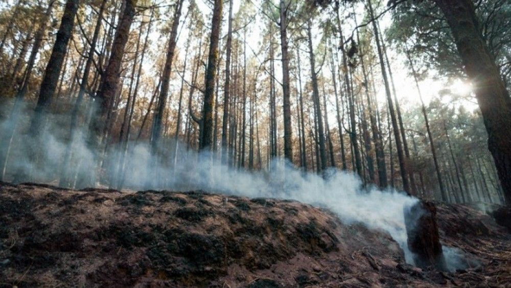 Η Μεσόγειος στο μάτι της πύρινης απειλής