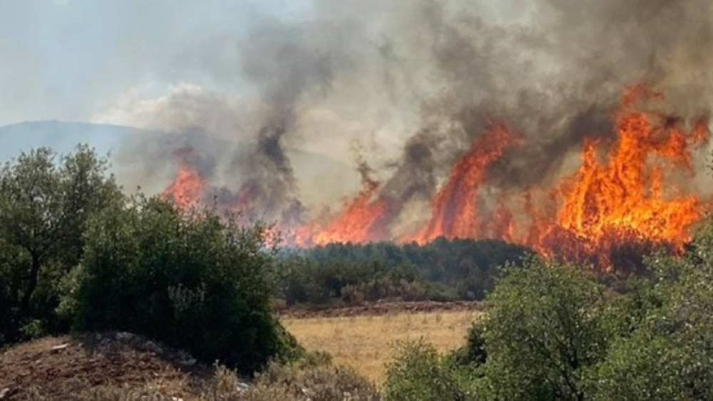 Υπό μερικό έλεγχο η φωτιά στον Μαραθώνα