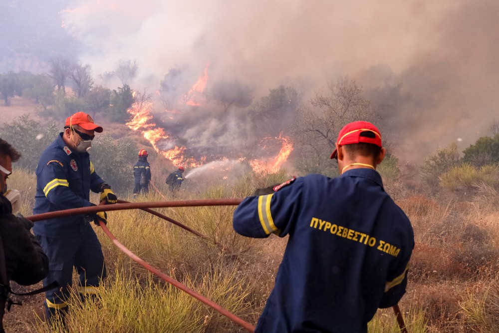 Πυροσβέστες απεγκλώβισαν 25 μετανάστες στο δάσος της Δαδιάς