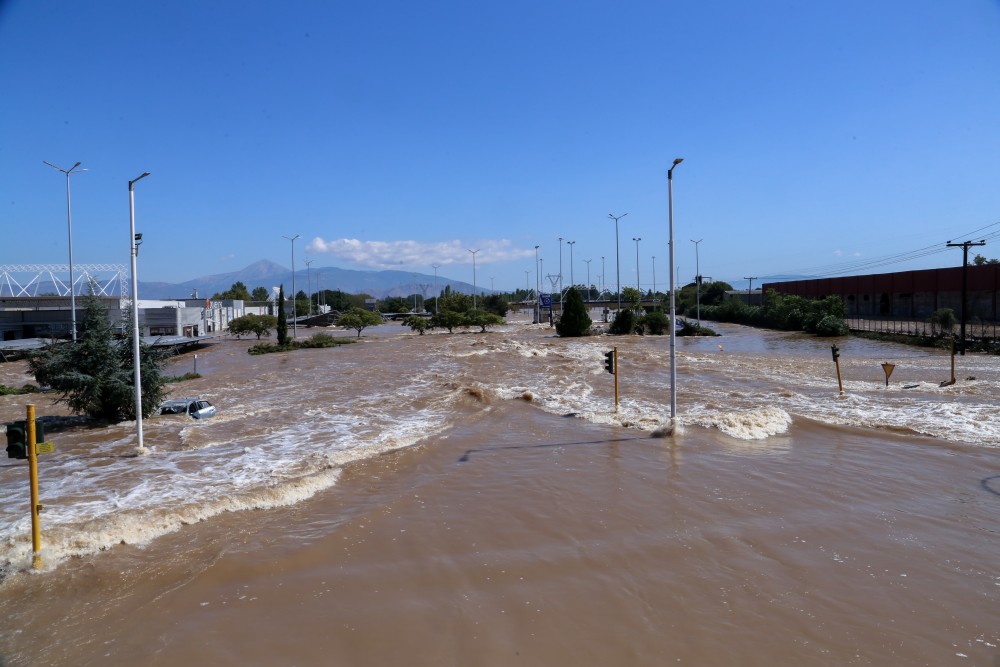 Ψάρια στα πεζοδρόμια στη Λάρισα, φίδι 2,5 μέτρων στον Παλαμά Καρδίτσας