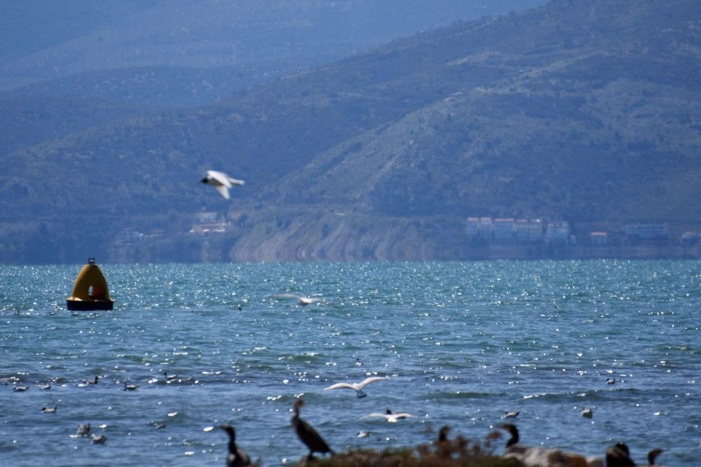 Αίθριος ο καιρός σήμερα - Έρχεται επιδείνωση από Δευτέρα, θα επηρεάσει όλη τη χώρα