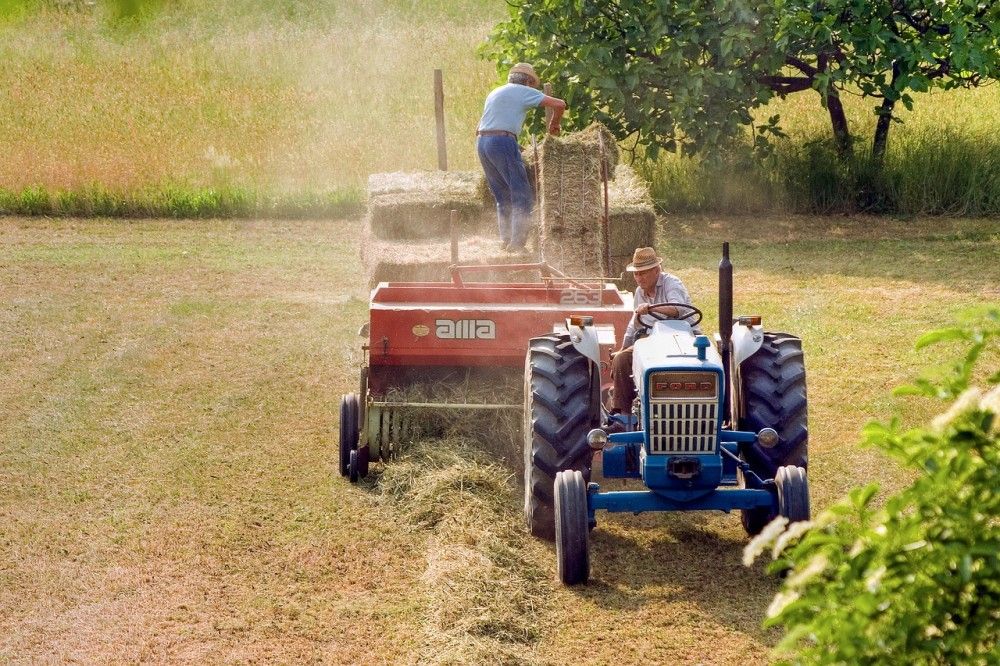 ΕΛΓΑ: Πληρώνει σήμερα 34,8 εκ. ευρώ σε 15.778 δικαιούχους