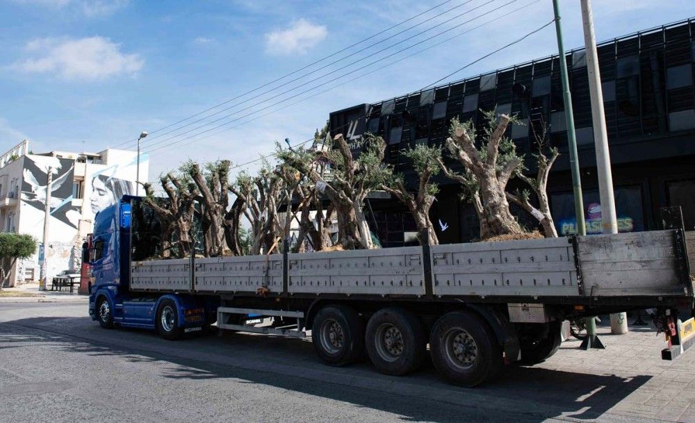 Παράδοση ελαιόδεντρων από την ΕΡΓΟΣΕ στο Δήμο Αθηναίων και στον Δήμο Ιλίου προς μεταφύτευση