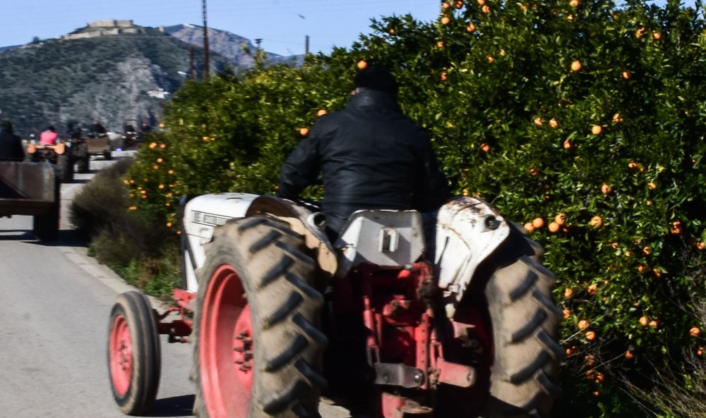 Πληρωμές 28 εκατ. ευρώ από τον ΕΛΓΑ την Πέμπτη - Ποιους αφορούν