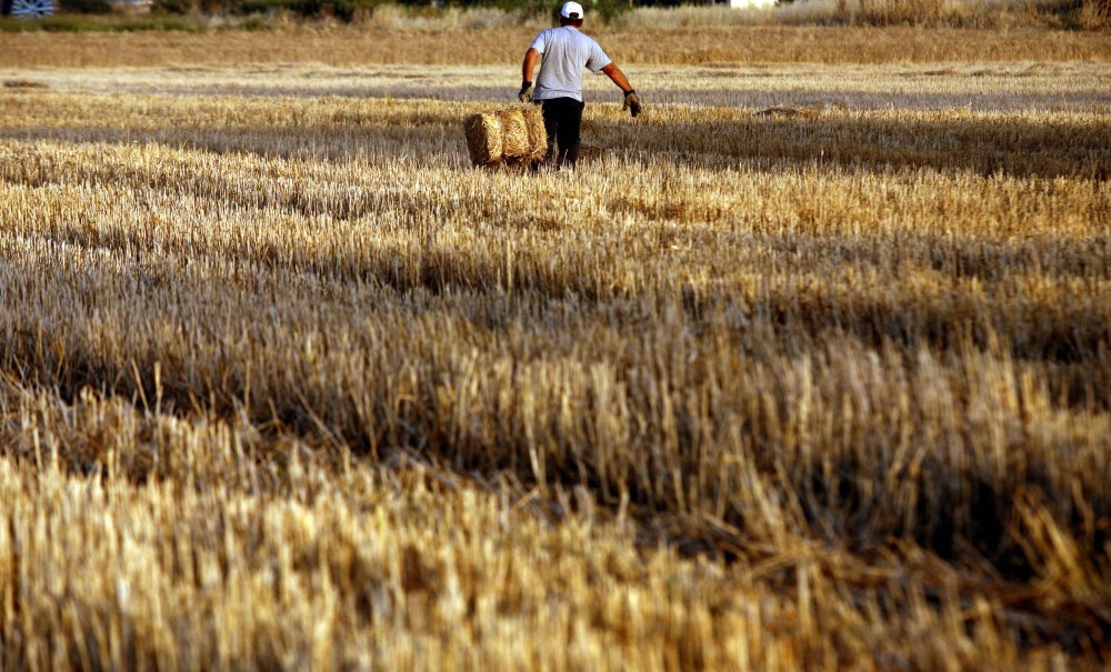 Δύο νέα προγράμματα για τη στήριξη της μικρομεσαίας αγροτικής επιχειρηματικότητας