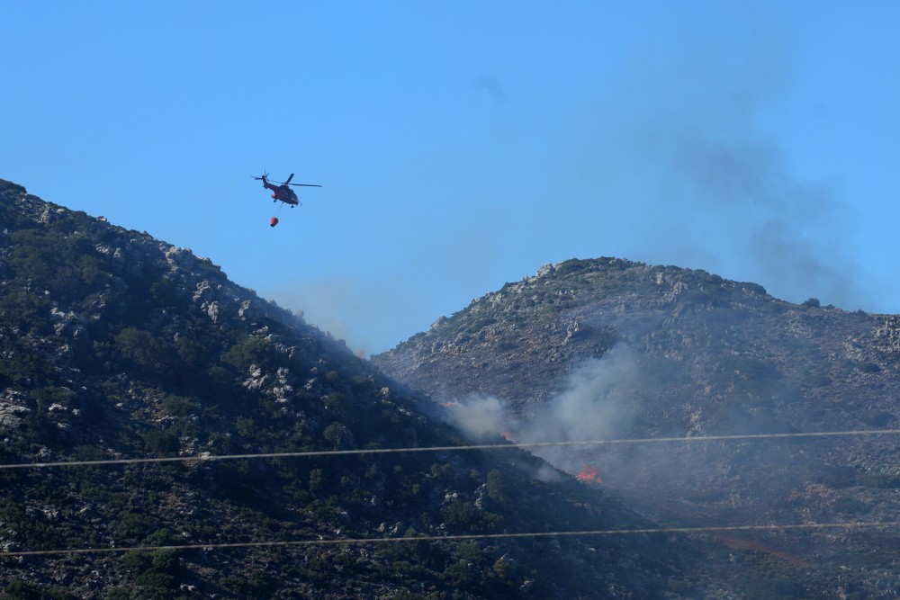 Πυροσβεστική: 42 πυρκαγιές το τελευταίο 24ωρο σε όλη τη χώρα – Πρόστιμα σε 6 άτομα