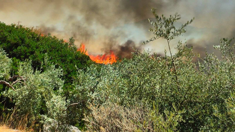 Φωτιές σε Νάξο και Μεσσηνία: σηκώθηκαν εναέρια μέσα