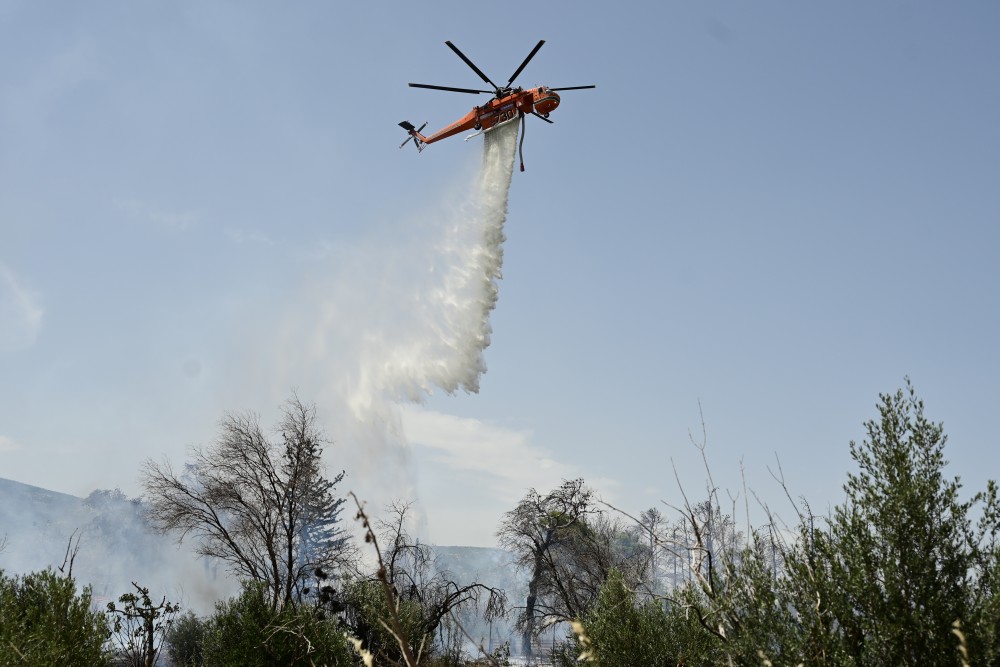 Στις 31 οι πυρκαγιές στην επικράτεια το τελευταίο 24ωρο - Πολύ υψηλός ο κίνδυνος αύριο