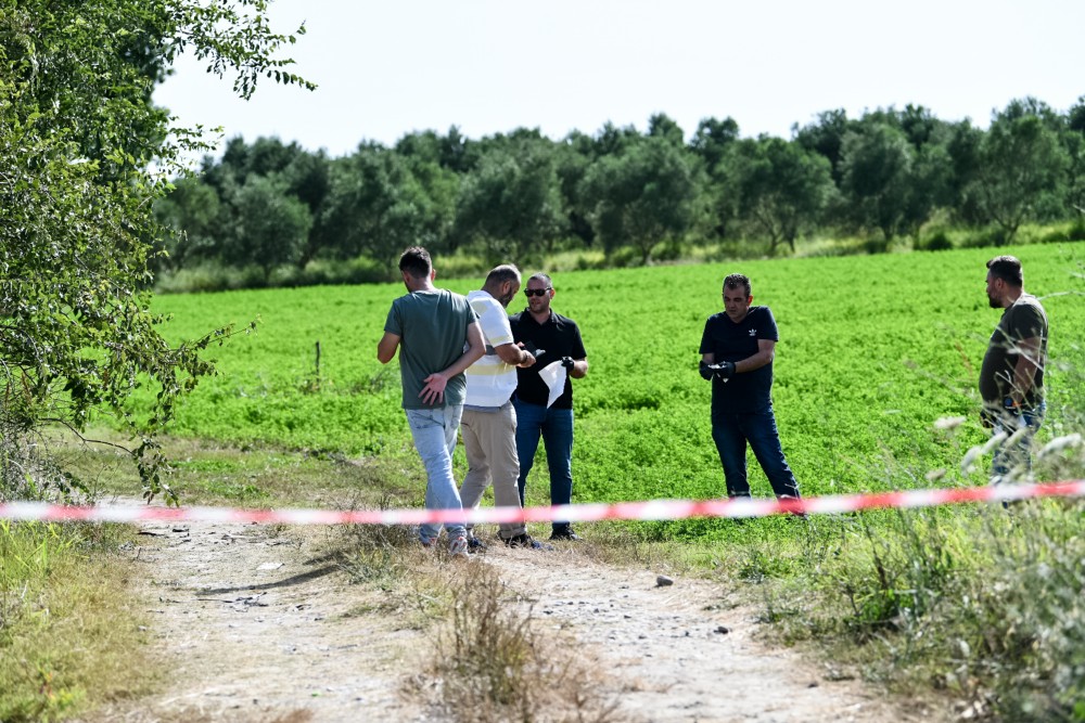 Έγκλημα με πολλούς συνενόχους