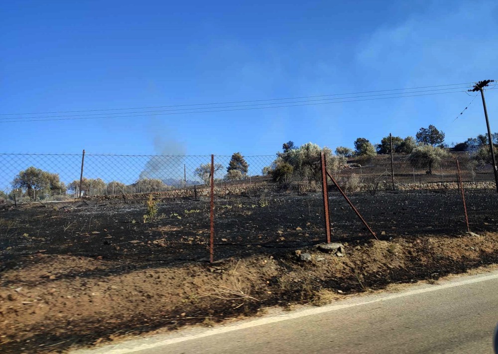 Φωτιά στη Λήμνο - Μεγάλη κινητοποίηση της Πυροσβεστικής