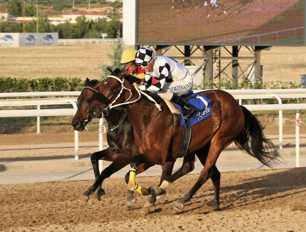 Markopoulo Park: Επιστροφή των ελληνικών ιπποδρομιών με θέαμα και κέρδη