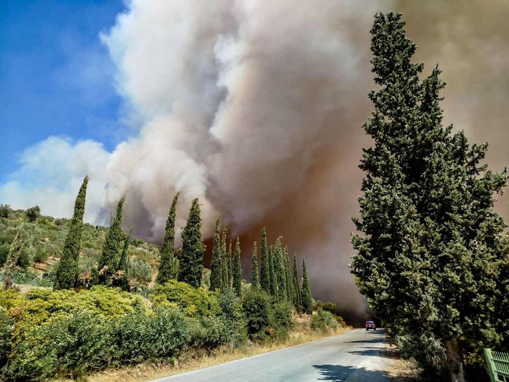 Εύβοια: ανεξέλεγκτη η φωτιά στις Πετριές - Συνεχή μηνύματα 112 για εκκένωση