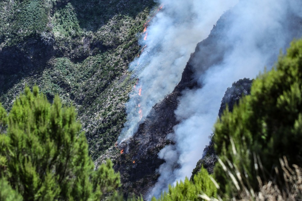 Μαίνεται η φωτιά στη Μαδέρα - Πυροσβεστικά αεροσκάφη από την ΕΕ ζήτησε η Πορτογαλία