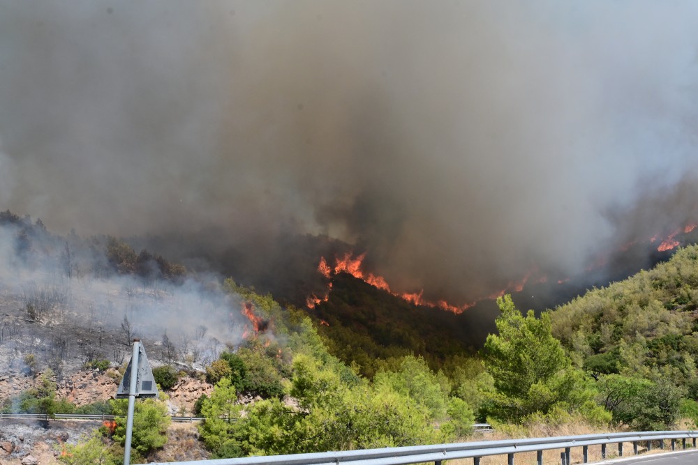 Πύρινα μέτωπα σε Καλλιτεχνούπολη και Γραμματικό - Κικίλιας: Άμεση η αντίδραση στην αρχική εστία στον Βαρνάβα