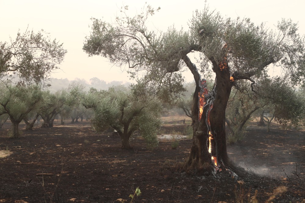 Τα τέσσερα μέτρα για τη στήριξη και την ανάπτυξη του Έβρου