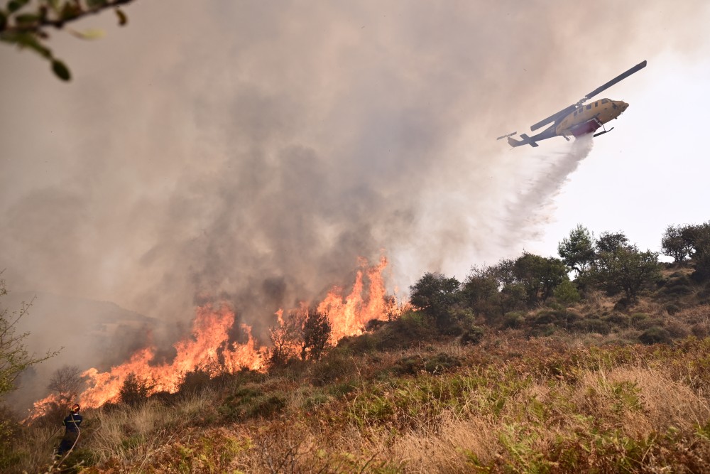 Κλιμάκια του ΕΛΓΑ στην πυρόπληκτη Κορινθία για αποτίμηση των ζημιών